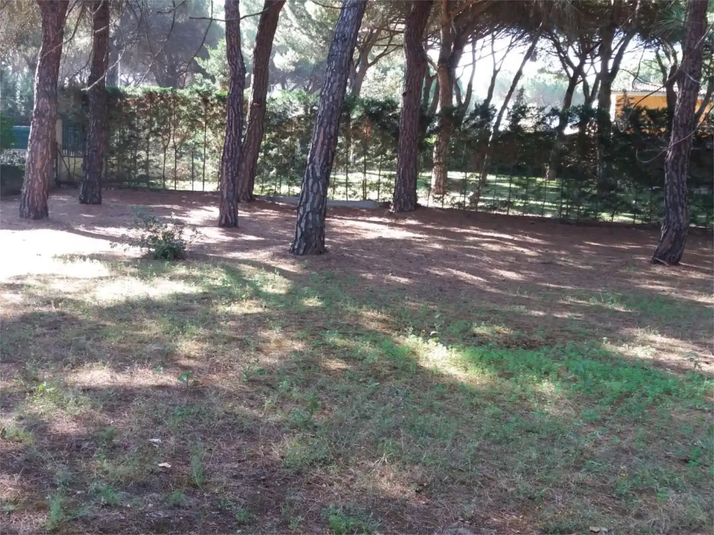 Casa o chalet en venta en Urbanización la Corala, 19, Laguna de Duero Casa o chalet en venta en Laguna de Duero con Terraza
