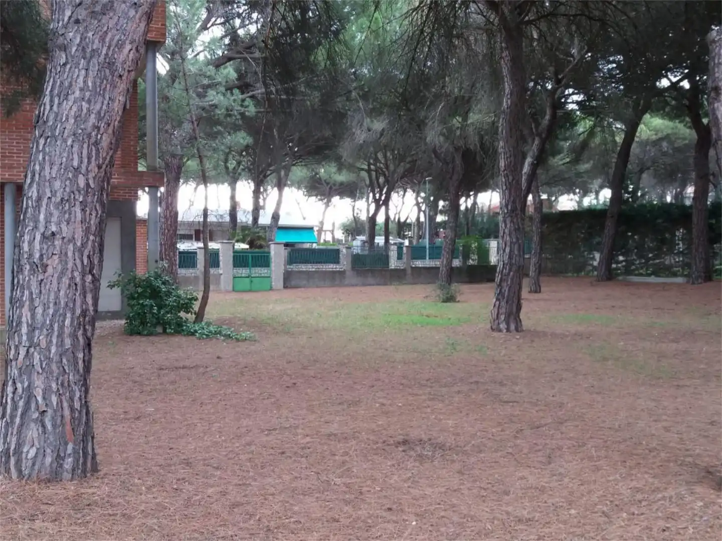 Casa o chalet en venta en Urbanización la Corala, 19, Laguna de Duero Jardín de Casa o chalet en venta en Laguna de Duero con Terraza