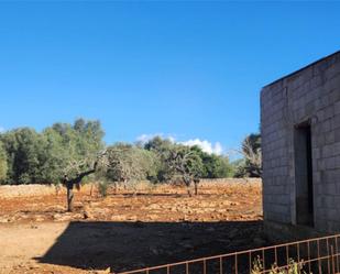 Country house for sale in Sineu