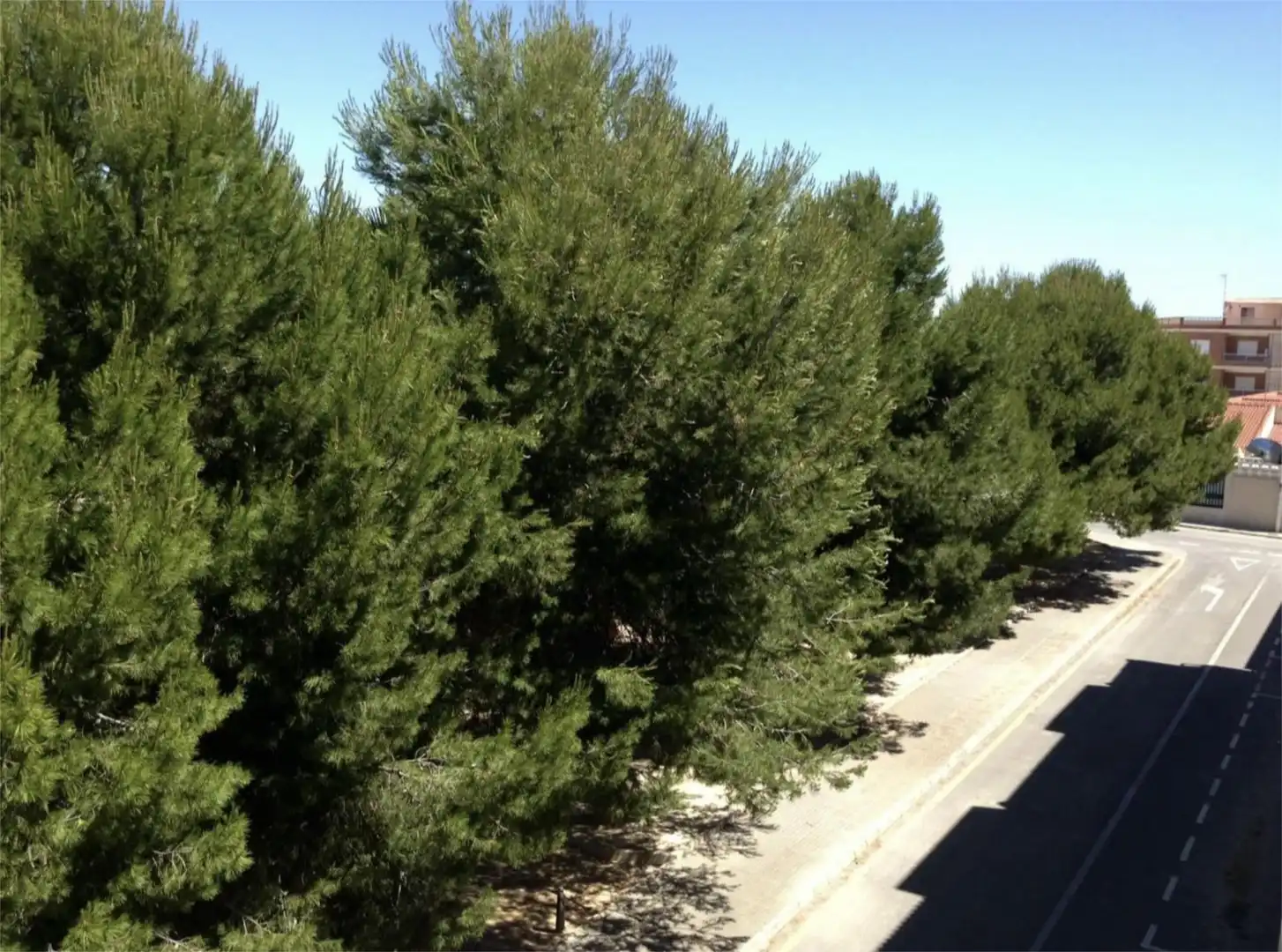 Vista exterior de Piso en venta en San Pedro del Pinatar con Aire acondicionado, Terraza y Amueblado