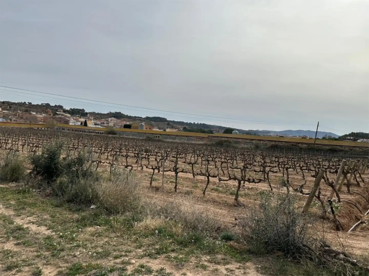 Finca rústica en venda en Vila-rodona amb Aire condicionat, Terrassa i Balcó