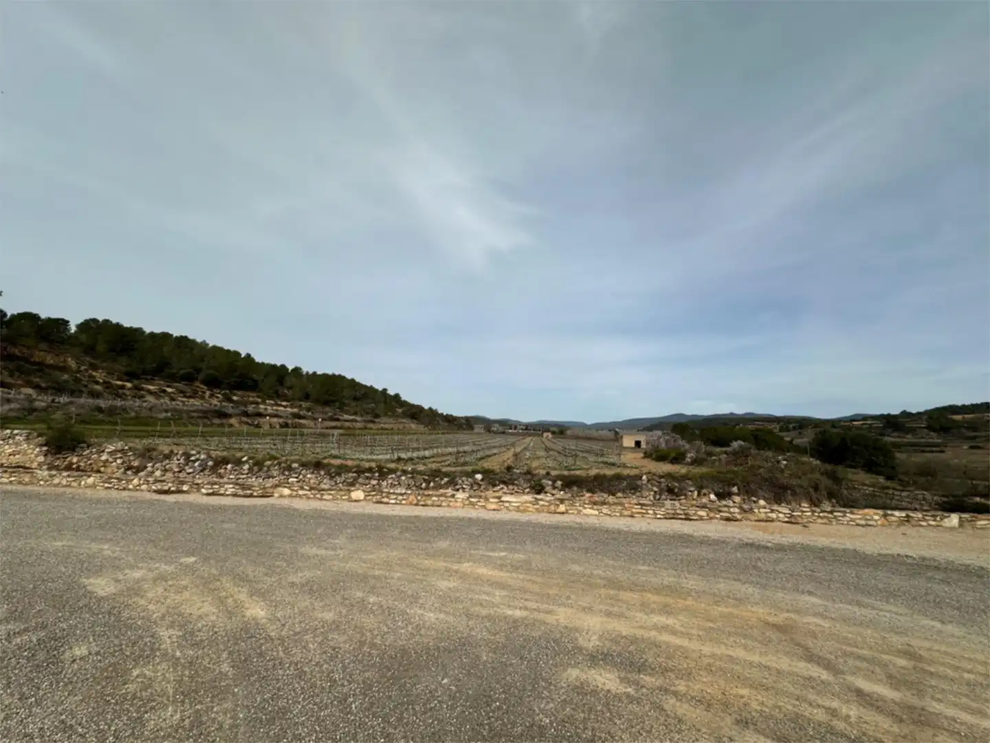 Finca rústica en venda en Vila-rodona amb Aire condicionat, Terrassa i Balcó