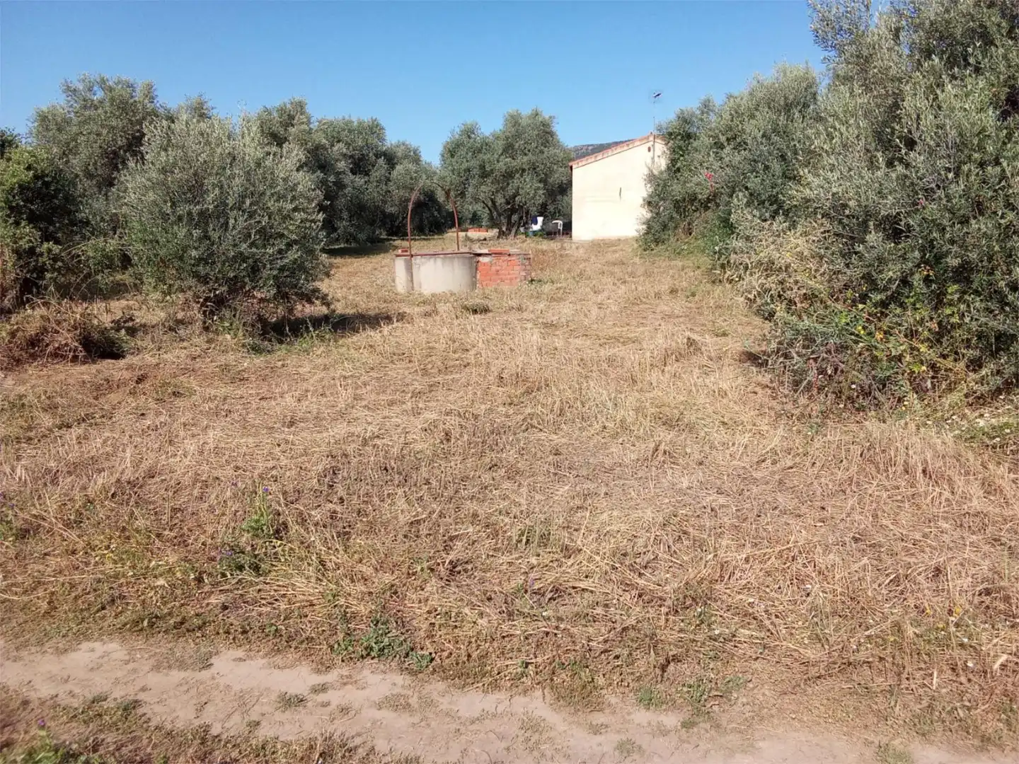 Flat for sale in CR-P-7211, 173, Piedrabuena Flat for sale in Piedrabuena with Private garden, Storage room and Furnished