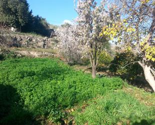 Finca rústica en venda en Lucainena de las Torres amb Terrassa