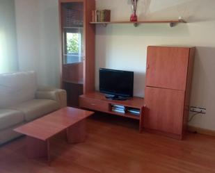 Living room of Flat for sale in Cistérniga  with Air Conditioner and Terrace