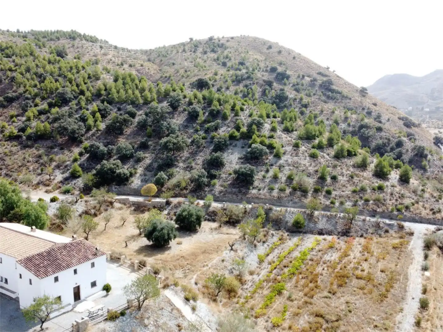 Finca rústica en venda a Camino Capellanias, 8, Taberno Finca rústica en venda en Taberno amb Calefacció, Jardí privat i Terrassa