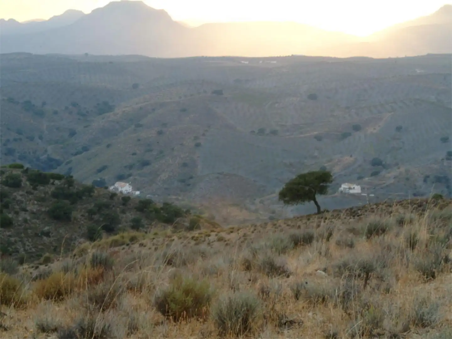Finca rústica en venda a Camino Capellanias, 8, Taberno Finca rústica en venda en Taberno amb Calefacció, Jardí privat i Terrassa