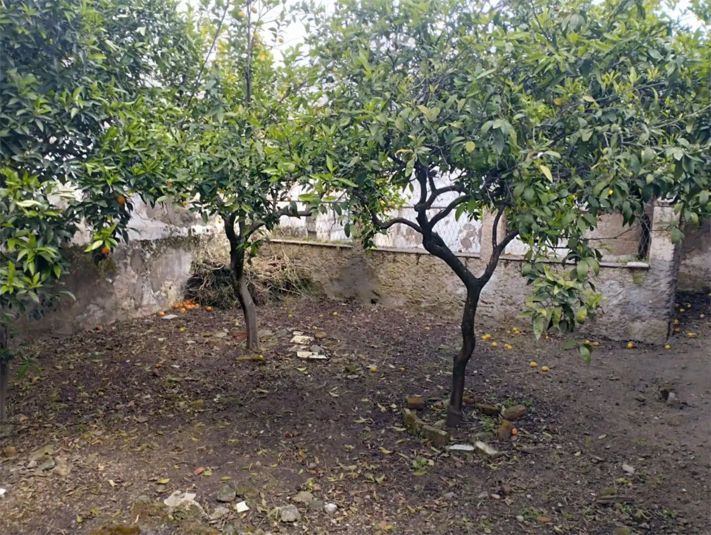 Casa adosada en venda en Arroyo de la Luz amb Jardí privat, Parquet i Terrassa