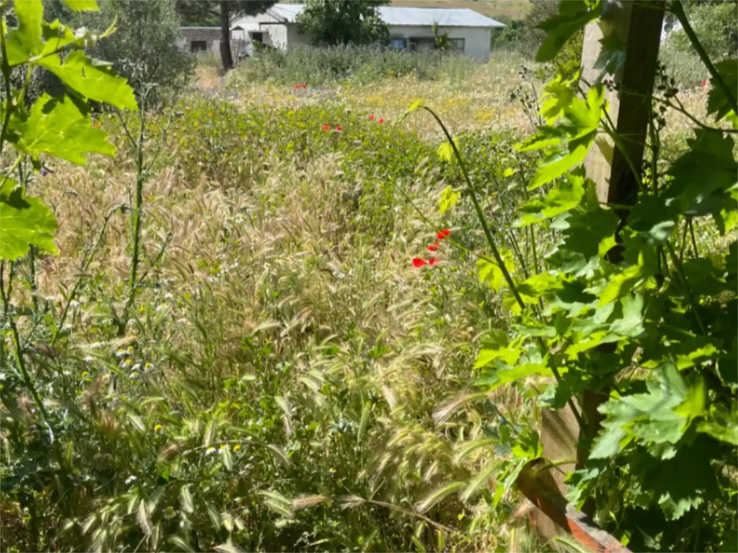 Finca rústica en venta en Camino de Alcalá, 10, Serracines Finca rústica en venta en Serracines con Jardín privado y Terraza