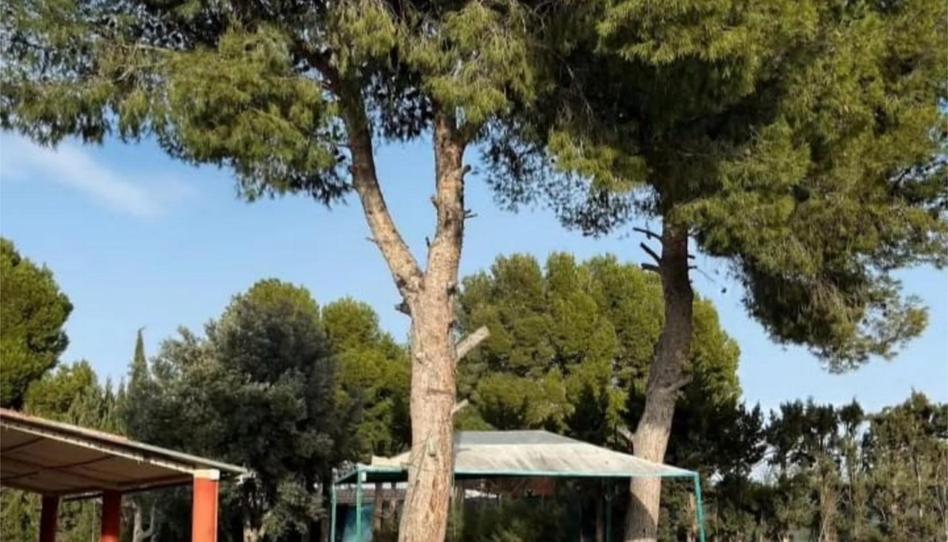 Flat for sale in Edificio Diseminados, 78, Aranda de Moncayo, Zaragoza - image 1 Photo 1 of Flat for sale in Edificio Diseminados, 78, Aranda de Moncayo, Zaragoza