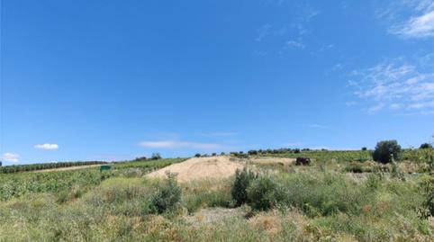 Foto 4 de Terreno en venta en Avenida del Calvario, 32, Trebujena, Cádiz