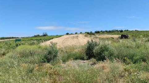 Foto 2 de Terreno en venta en Avenida del Calvario, 32, Trebujena, Cádiz