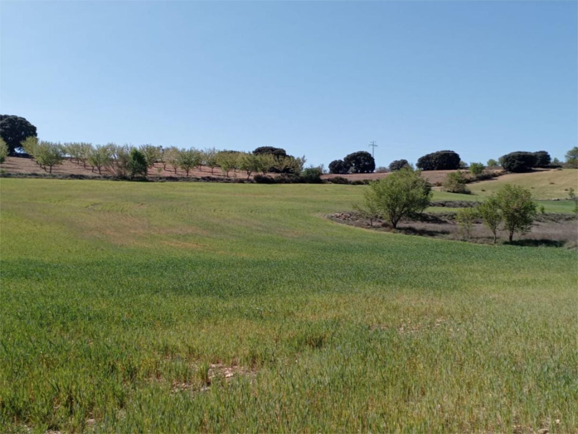 Non-constructible Land for sale in Munera