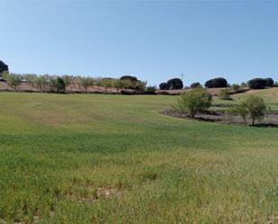 Non-constructible Land for sale in Munera