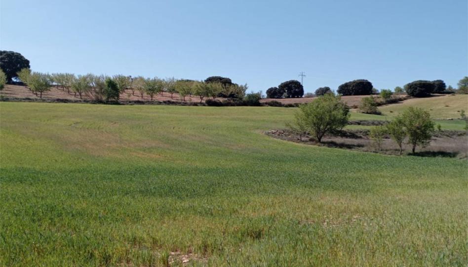 No Urbanitzable en venda a Calle el Bonillo, 24a, Munera, Albacete - imatge 1 Foto 1 de No Urbanitzable en venda a Calle el Bonillo, 24a, Munera, Albacete