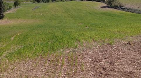 No Urbanitzable en venda a Calle el Bonillo, 24a, Munera, Albacete - imatge 2 Foto 2 de No Urbanitzable en venda a Calle el Bonillo, 24a, Munera, Albacete