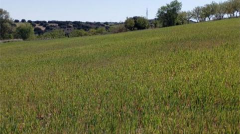 No Urbanitzable en venda a Calle el Bonillo, 24a, Munera, Albacete - imatge 3 Foto 3 de No Urbanitzable en venda a Calle el Bonillo, 24a, Munera, Albacete