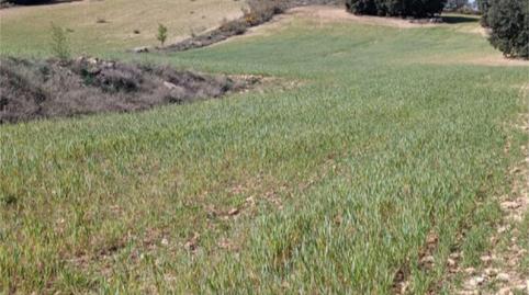 No Urbanitzable en venda a Calle el Bonillo, 24a, Munera, Albacete - imatge 4 Foto 4 de No Urbanitzable en venda a Calle el Bonillo, 24a, Munera, Albacete