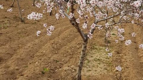 Grundstücke zum Verkauf in Carretera Toledo, 37, Almorox, Toledo - Bild 3 Foto 3 von Grundstücke zum Verkauf in Carretera Toledo, 37, Almorox, Toledo