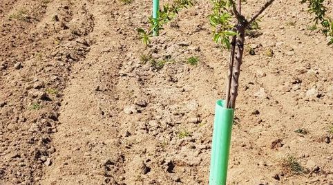 Grundstücke zum Verkauf in Carretera Toledo, 37, Almorox, Toledo - Bild 2 Foto 2 von Grundstücke zum Verkauf in Carretera Toledo, 37, Almorox, Toledo