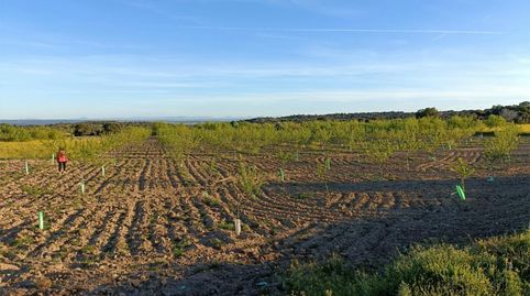 Grundstücke zum Verkauf in Carretera Toledo, 37, Almorox, Toledo - Bild 4 Foto 4 von Grundstücke zum Verkauf in Carretera Toledo, 37, Almorox, Toledo