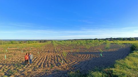 Grundstücke zum Verkauf in Carretera Toledo, 37, Almorox, Toledo - Bild 5 Foto 5 von Grundstücke zum Verkauf in Carretera Toledo, 37, Almorox, Toledo