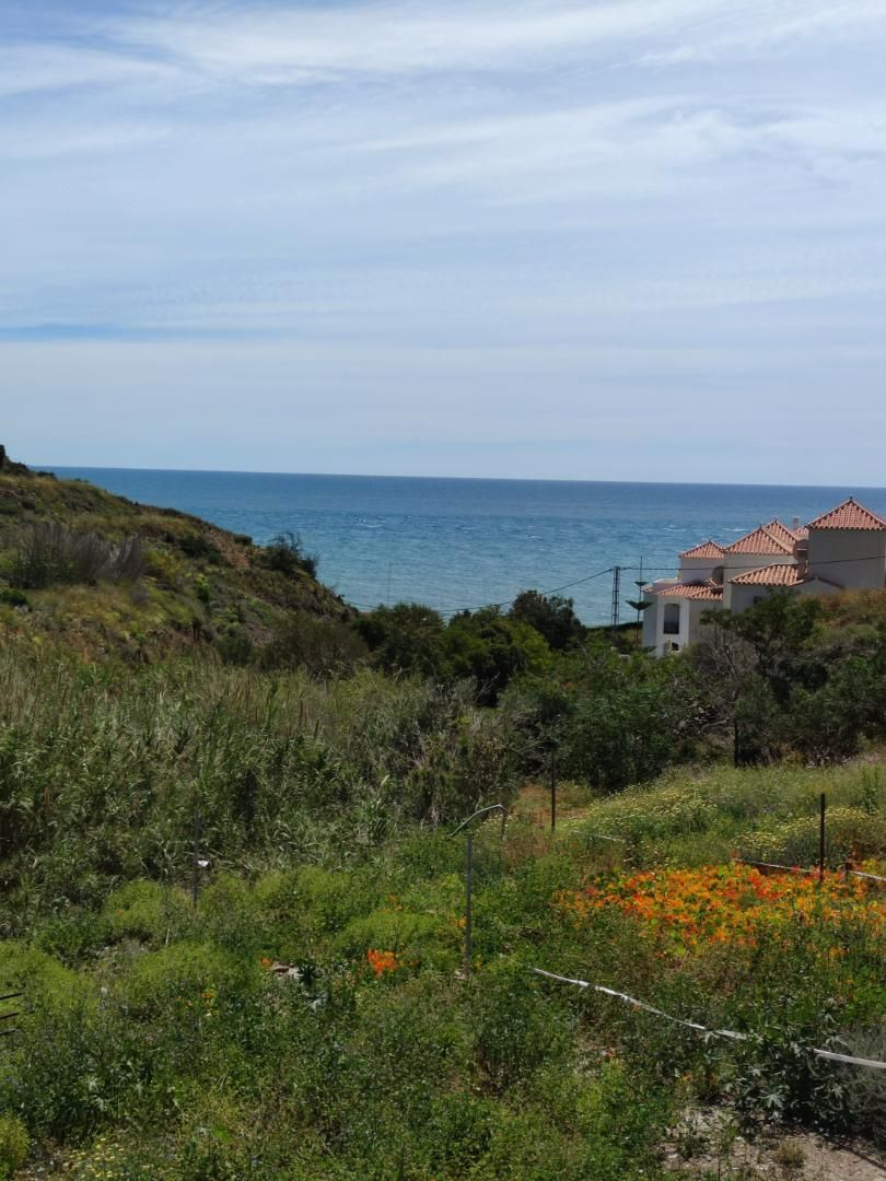 House or chalet for sale in Torrox