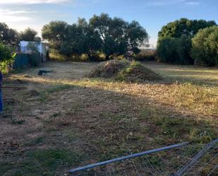 Finca rústica en venda en Dos Hermanas