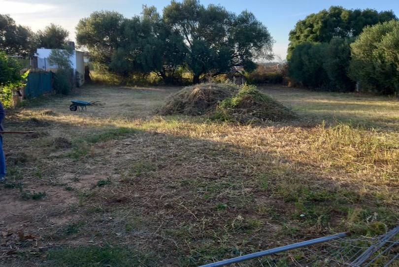 Finca rústica en venda a Calle a, 19, La Hacienda - Nueva Andalucía, Dos Hermanas - imatge 1 Foto 1 de Finca rústica en venda a Calle a, 19, La Hacienda - Nueva Andalucía, Dos Hermanas