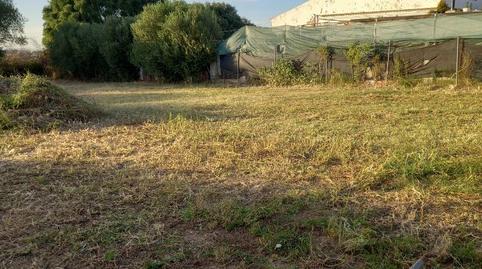 Finca rústica en venda a Calle a, 19, La Hacienda - Nueva Andalucía, Dos Hermanas - imatge 3 Foto 3 de Finca rústica en venda a Calle a, 19, La Hacienda - Nueva Andalucía, Dos Hermanas