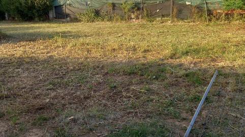 Finca rústica en venda a Calle a, 19, La Hacienda - Nueva Andalucía, Dos Hermanas - imatge 2 Foto 2 de Finca rústica en venda a Calle a, 19, La Hacienda - Nueva Andalucía, Dos Hermanas