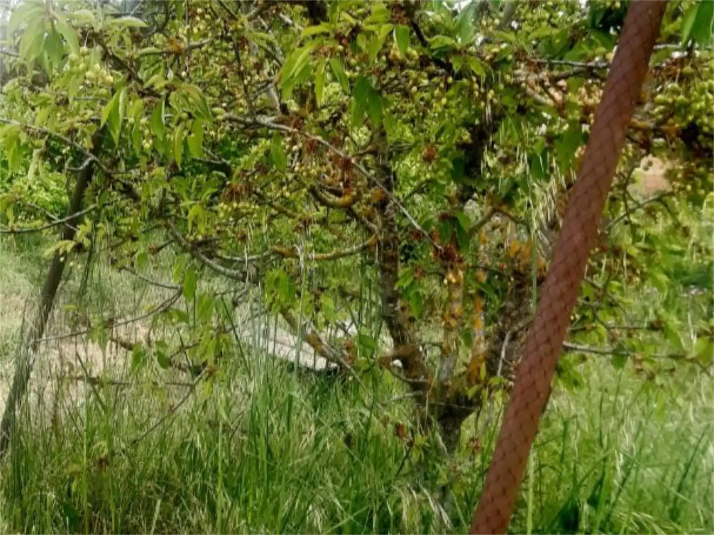 Finca rústica en venta en Vezdemarbán