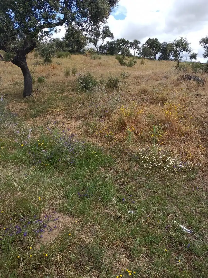 Terreno en venta en Puerto de Santa Cruz