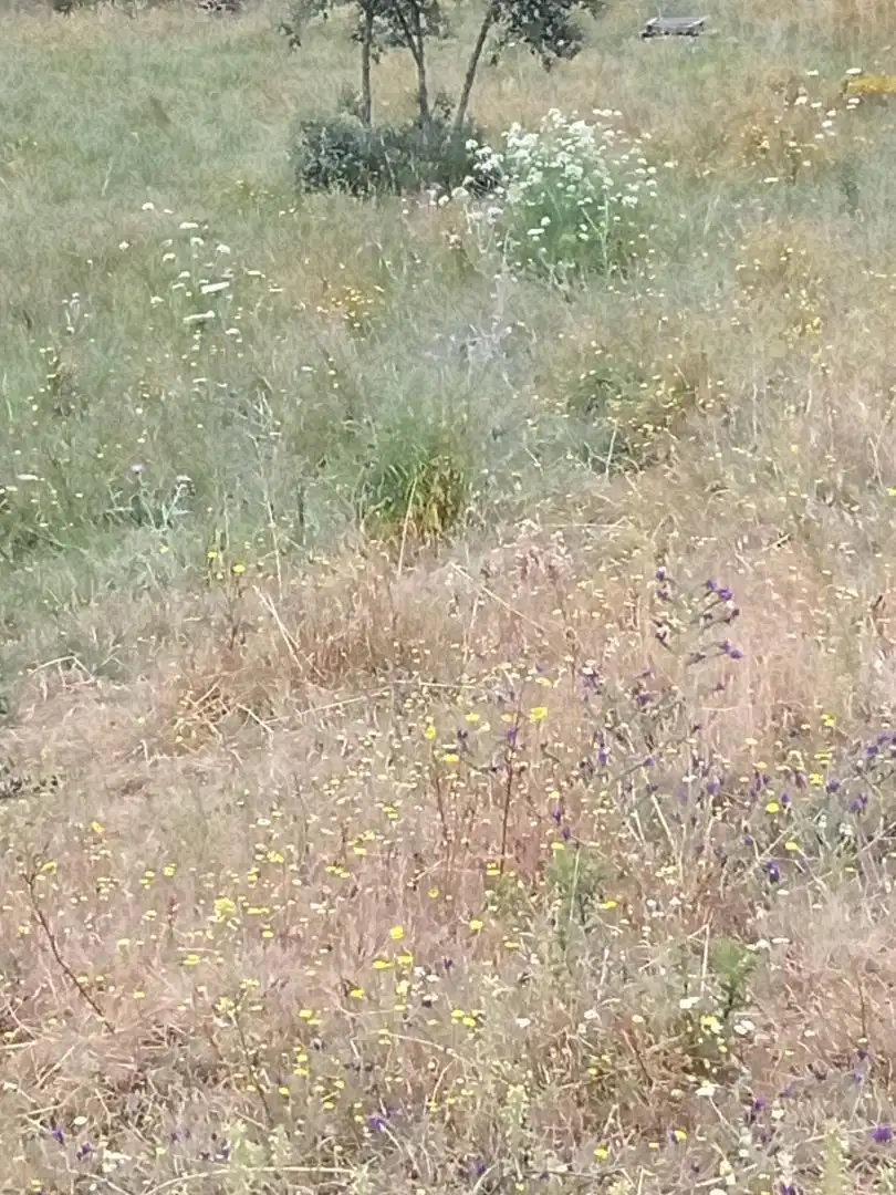 Terreno en venta en Puerto de Santa Cruz