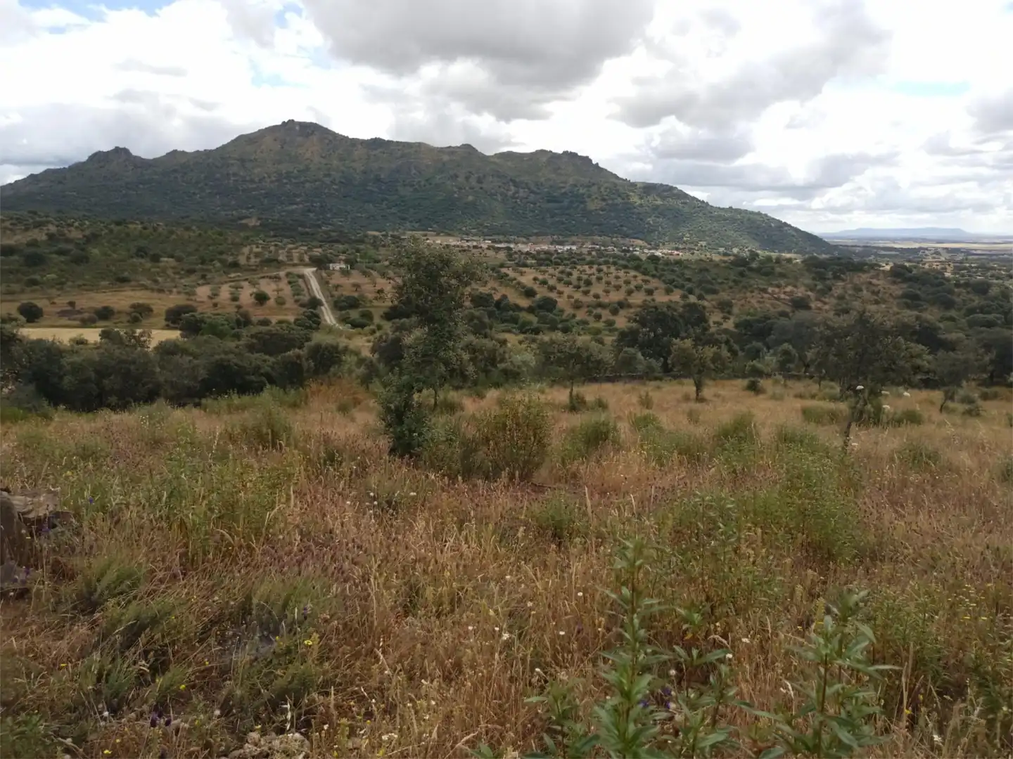 Terreno en venta en Puerto de Santa Cruz