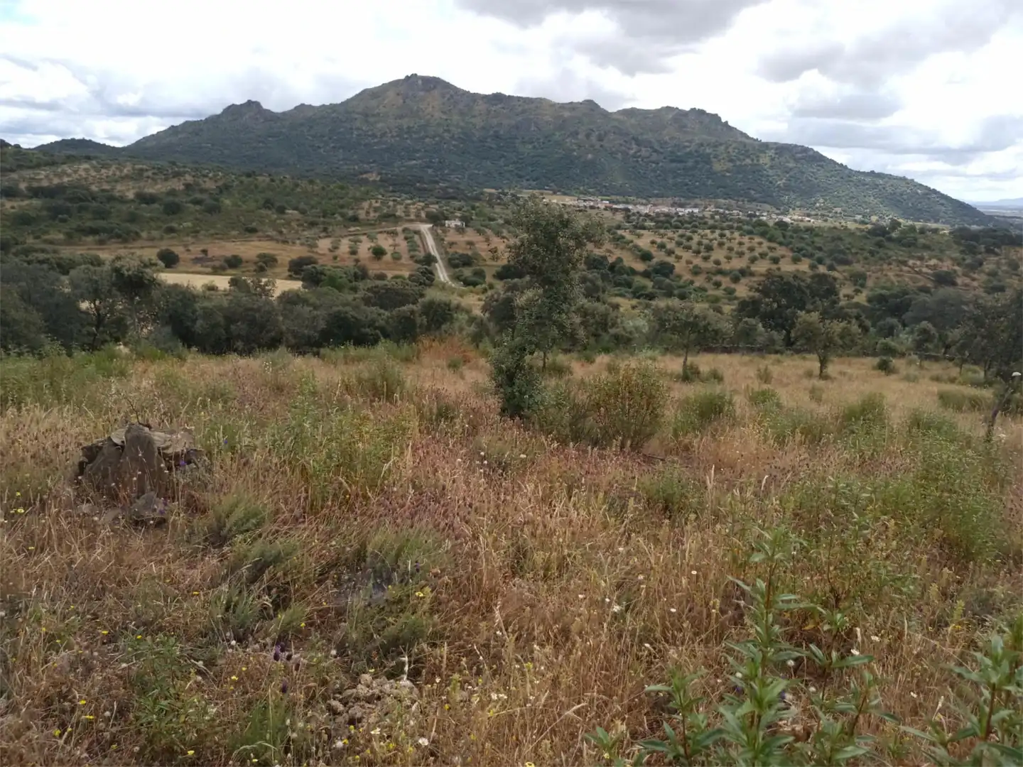 Terreno en venta en Puerto de Santa Cruz