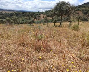 Land for sale in Puerto de Santa Cruz