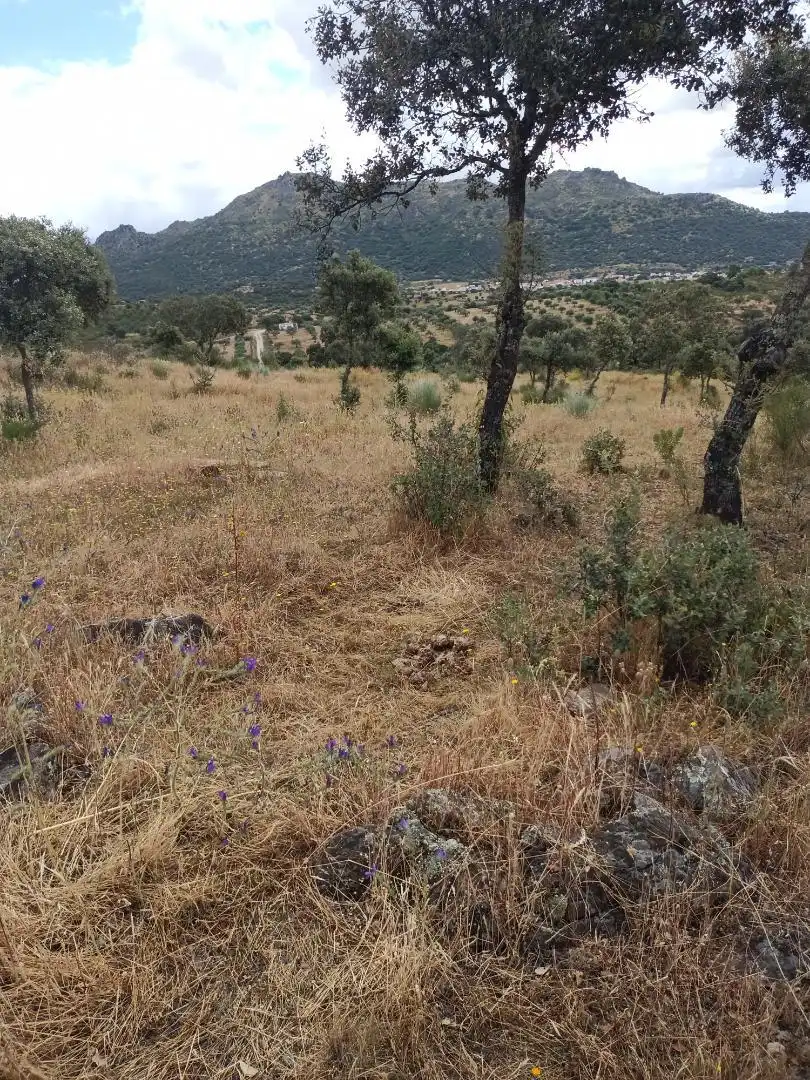 Terreno en venta en Puerto de Santa Cruz