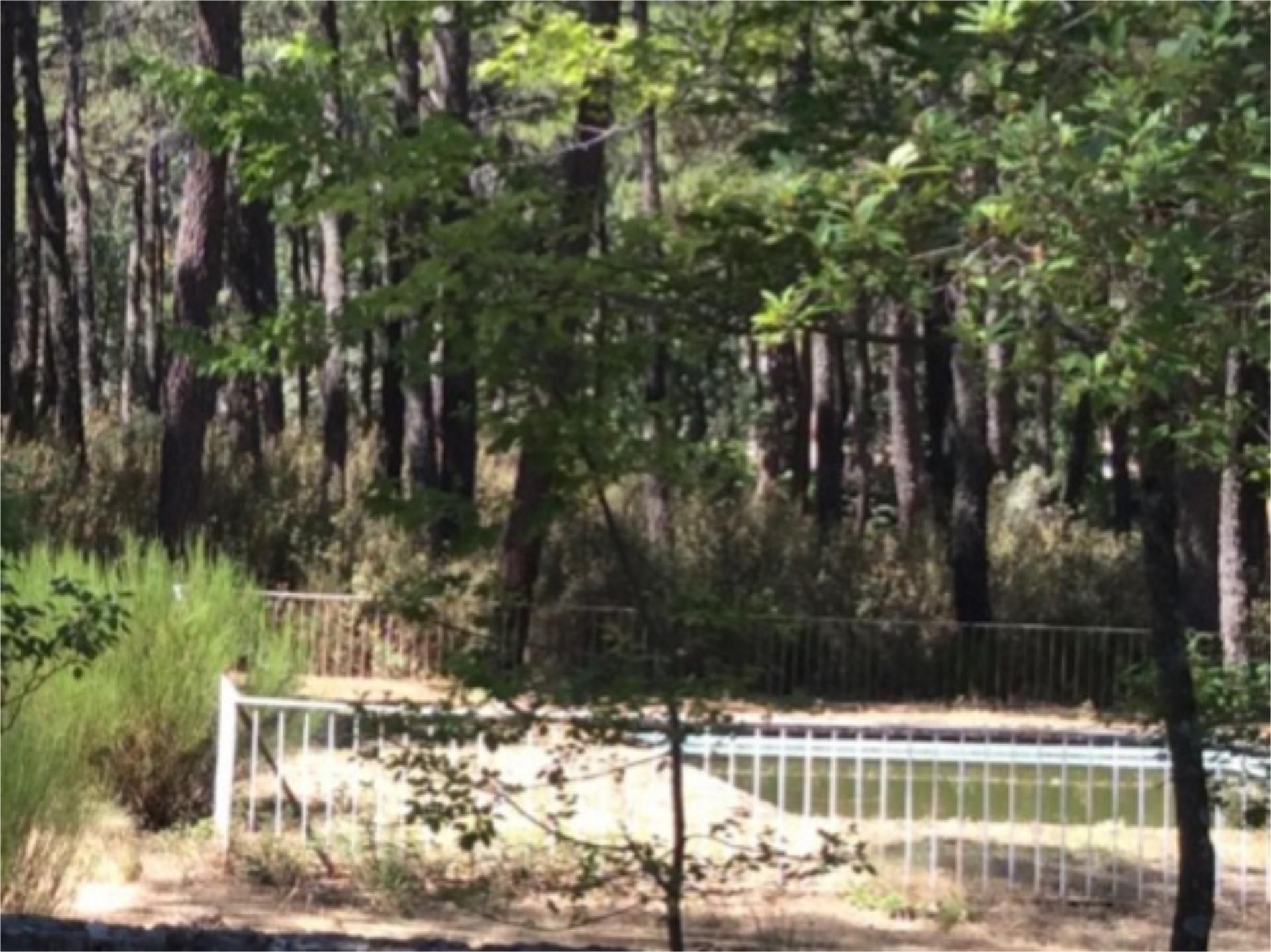 Piscina de Finca rústica en venda en Las Navas del Marqués  amb Piscina