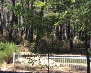 Piscina de Finca rústica en venda en Las Navas del Marqués  amb Piscina