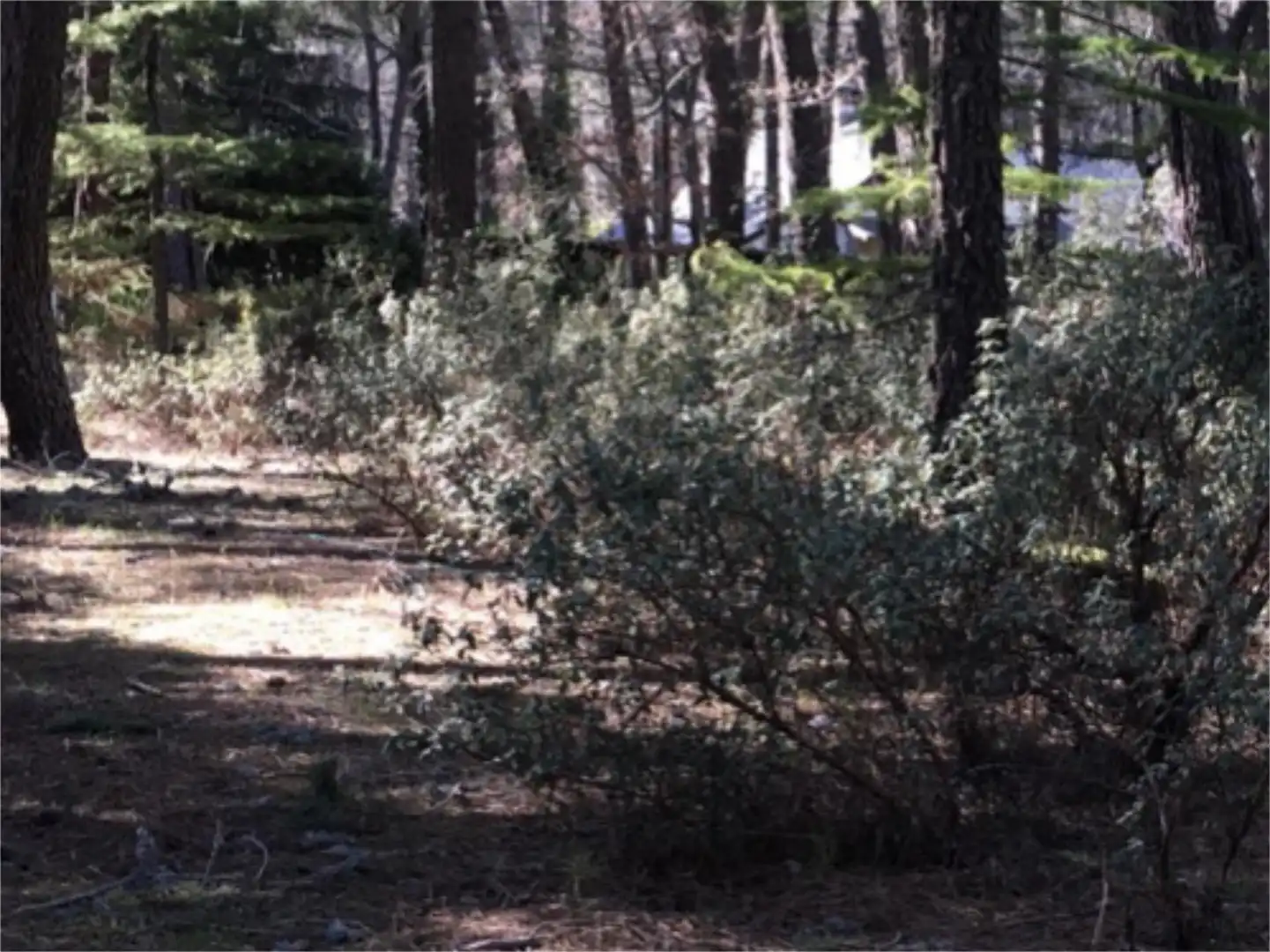 Finca rústica en venta en Camino de Valdemaqueda, 66, Las Navas del Marqués Finca rústica en venta en Las Navas del Marqués con Piscina