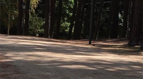 Finca rústica en venda a Camino de Valdemaqueda, 66, Las Navas del Marqués , Ávila - imatge 3 Foto 3 de Finca rústica en venda a Camino de Valdemaqueda, 66, Las Navas del Marqués , Ávila