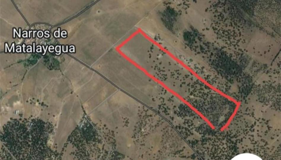 Foto 1 de Finca rústica en venta en Camino Sanchogomez, 99, Narros de Matalayegua, Salamanca