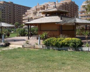 Garden of Flat to rent in Oropesa del Mar / Orpesa  with Air Conditioner, Terrace and Swimming Pool