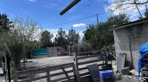 Finca rústica en venta en Calle la Fábrica, 1, Las Torres de Cotillas, Murcia - imagen 5 Foto 5 de Finca rústica en venta en Calle la Fábrica, 1, Las Torres de Cotillas, Murcia