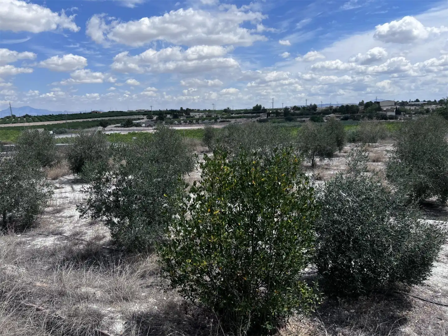 Country homes for sale in Calle la Fábrica, 1, Las Torres de Cotillas Country homes for sale in Las Torres de Cotillas with Air Conditioner