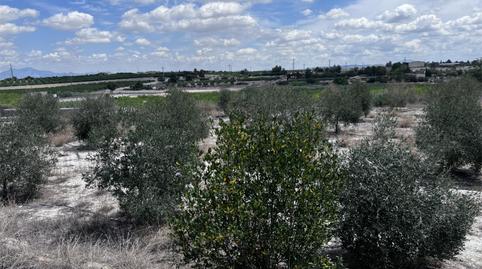 Finca rústica en venta en Calle la Fábrica, 1, Las Torres de Cotillas, Murcia - imagen 3 Foto 3 de Finca rústica en venta en Calle la Fábrica, 1, Las Torres de Cotillas, Murcia