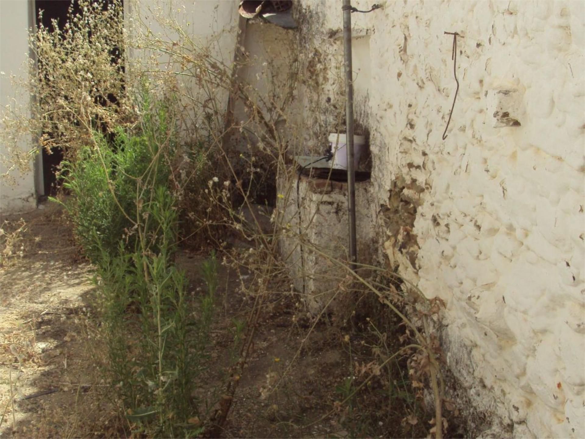 Garden of Flat for sale in Alía