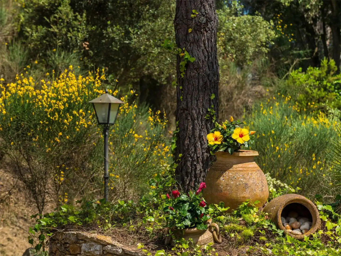 Finca rústica en venta en Carrer Església, 2, Llambilles Finca rústica en venta en Carrer Església, 2, Llambilles