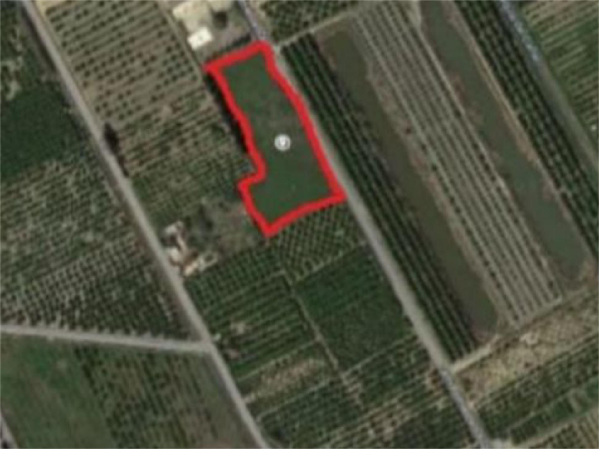 Land for sale in Tavernes de la Valldigna